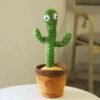 Dancing Cactus Toy