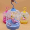 Cute Mini Bird Cage