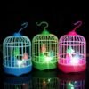Cute Mini Bird Cage
