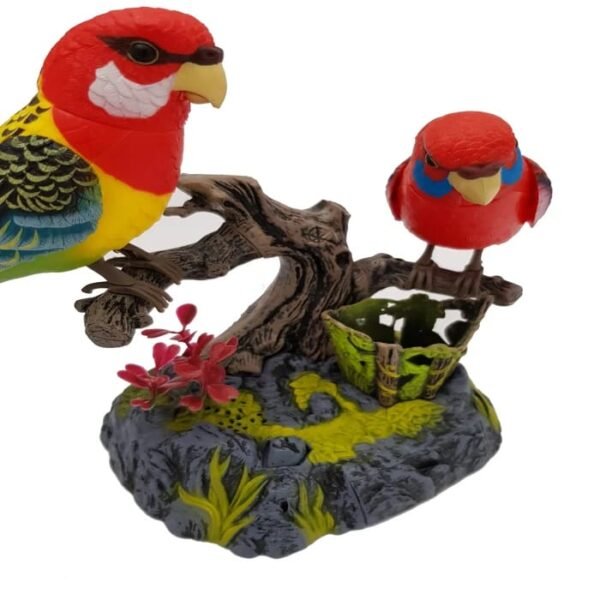 Ensemble Beautiful Birds