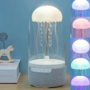 Portable speaker/night light
